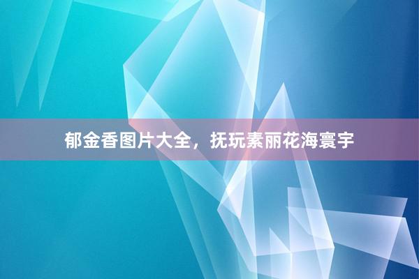 郁金香图片大全,抚玩素丽花海寰宇