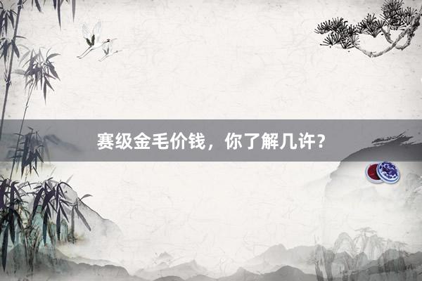 赛级金毛价钱，你了解几许？