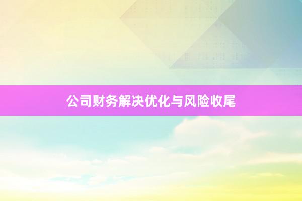 公司财务解决优化与风险收尾